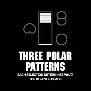 Lauten Audio (ローテンオーディオ)FC-387 ATLANTIS指向性